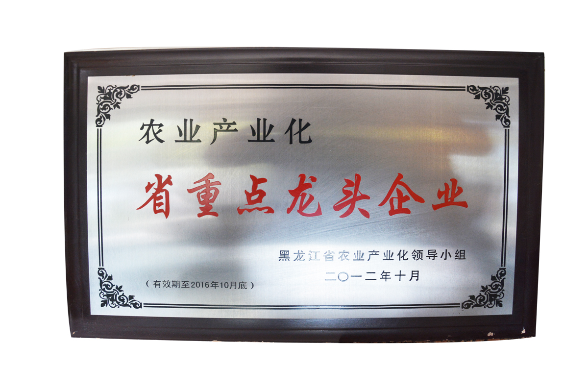 重點龍.頭企業